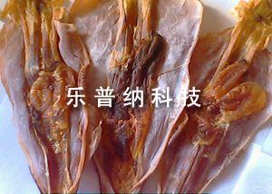 魷魚